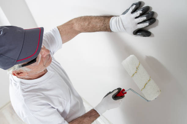 Best Mold Documentation for Insurance Claims  in Somers, WI