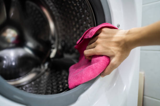 Reliable Somers, WI Mold Removal Solutions