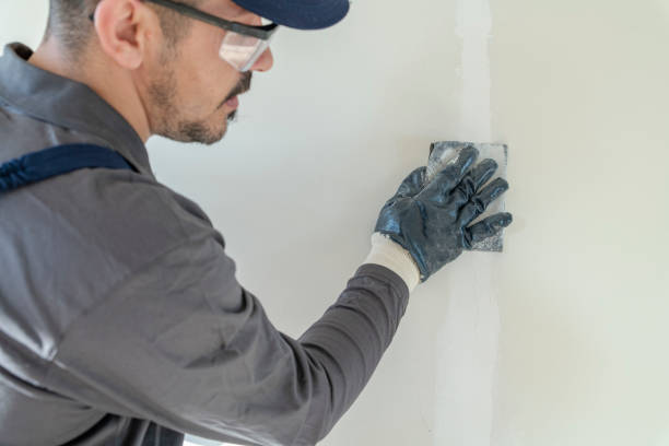 Best Crawl Space Mold Remediation  in Somers, WI