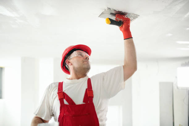 Best Water Damage & Mold Remediation  in Somers, WI
