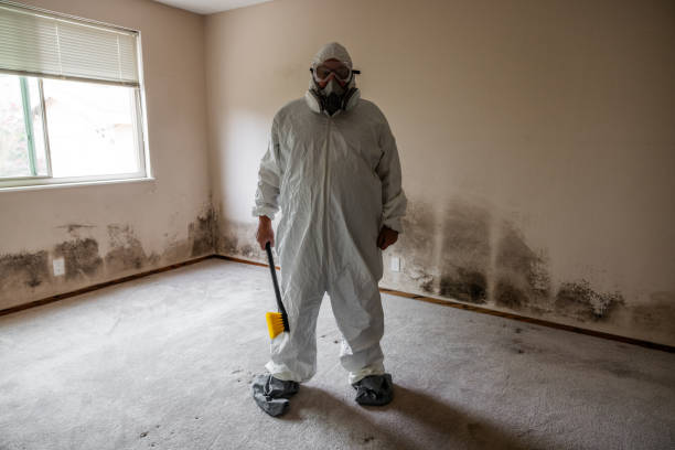 Forensic Mold Investigation in Somers, WI