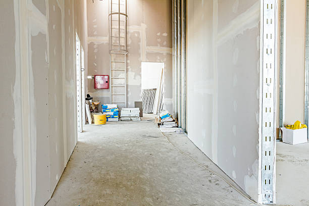 Best Mold Prevention Services  in Somers, WI