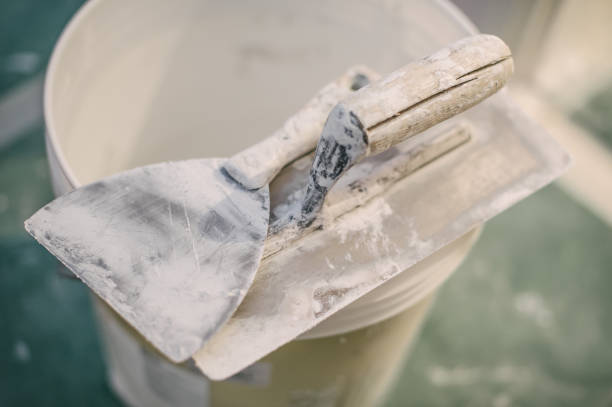 Best Commercial Mold Inspection  in Somers, WI