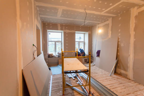 Best Mold Damage Restoration  in Somers, WI
