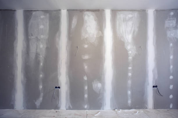Best Basement Mold Removal  in Somers, WI